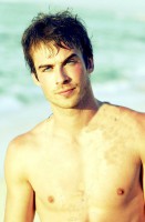 /album/galeria-de-fotos-ufcd-0139-imagens-matriciais/ian-somerhalder-imagem-criada-jpg/